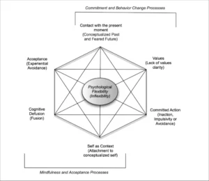 A model of the Acceptance and Commitment Therapy hexaflex represents the 6 processes that promote psychological flexibility.