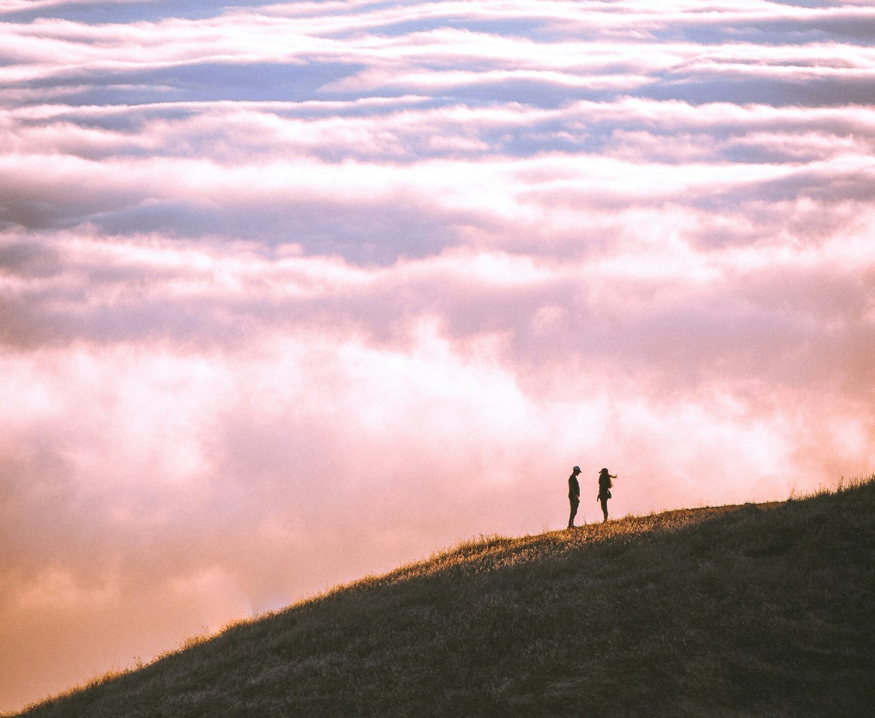 Couples therapist who is looking for couples consultation in Colorado