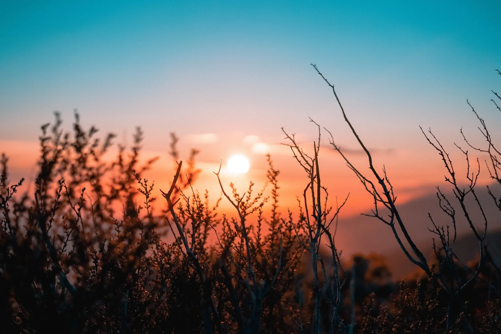 Clinical supervision for provisionally therapists, social workers, or counselors with Firelight Supervision
